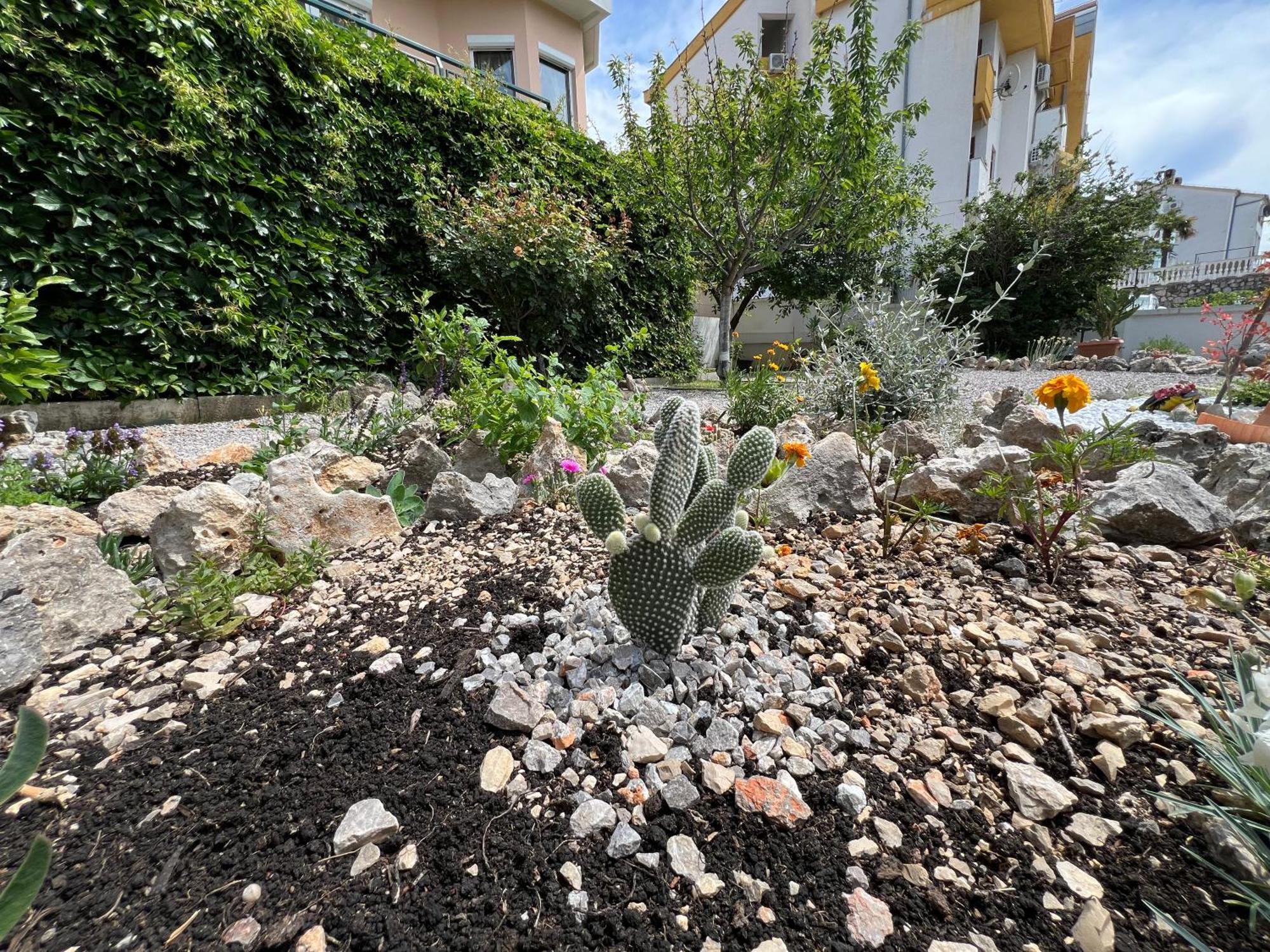 קריקווניצה Apartman Ahmicic מראה חיצוני תמונה